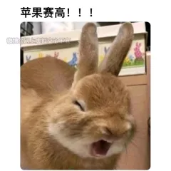 产品测试展会