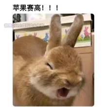 产品测试展会